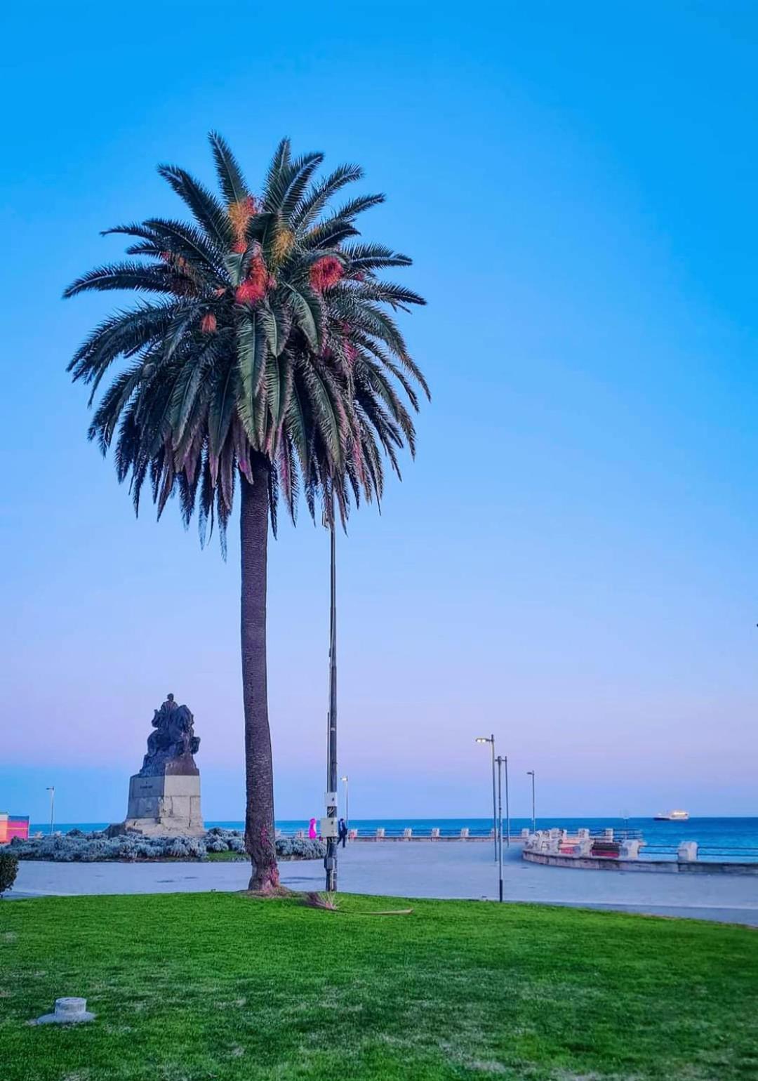 Tramonto Sul Mare - Sea Suite Savona Eksteriør billede